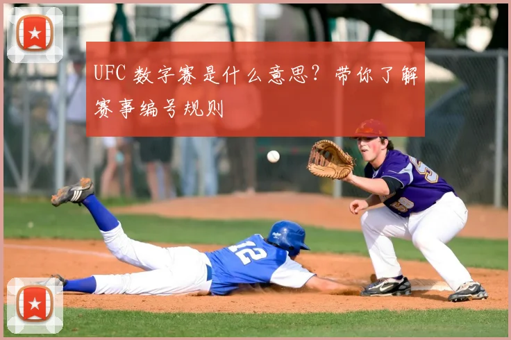 UFC 数字赛是什么意思?带你了解赛事编号规则
